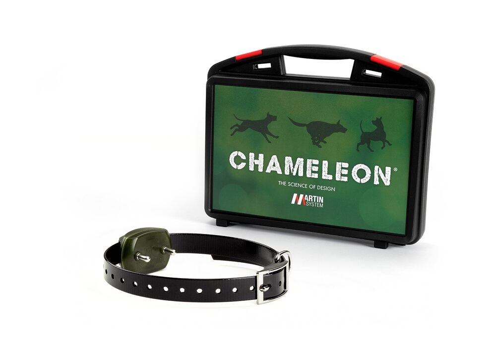 EXTRA MICRO COLLAR IV S.S.C