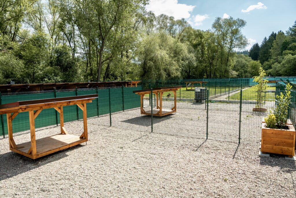 10. výbehy