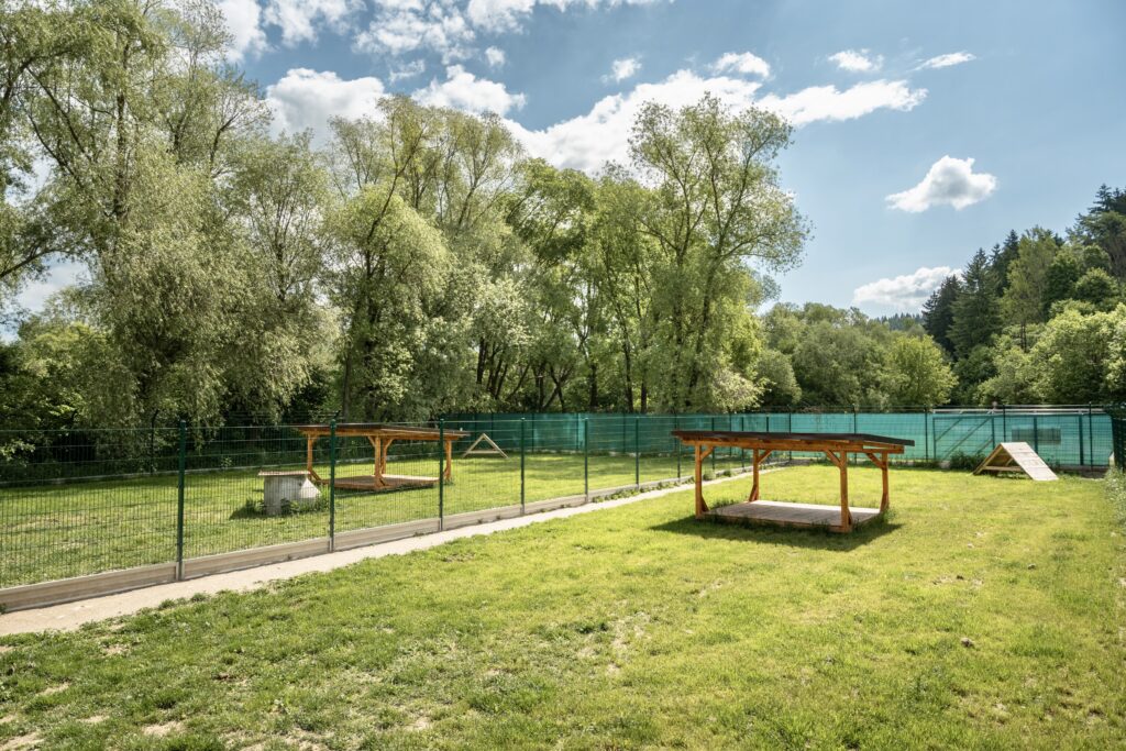 12. výbehy