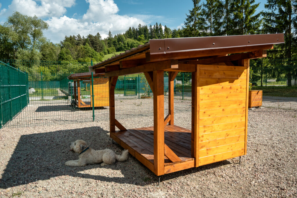 4. výbehy